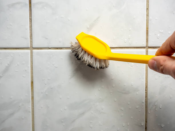 Best Residential Mold Removal  in Pecatonica, IL